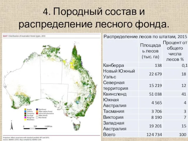 4. Породный состав и распределение лесного фонда.