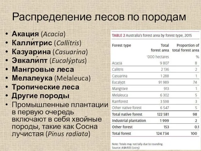 Распределение лесов по породам Акация (Acacia) Калли́трис (Callítris) Казуарина (Casuarina)