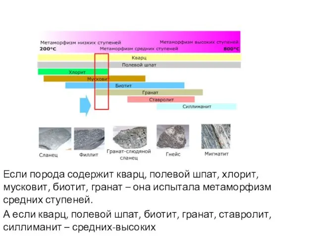 Если порода содержит кварц, полевой шпат, хлорит, мусковит, биотит, гранат