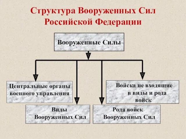 Структура Вооруженных Сил Российской Федерации Виды Вооруженных Сил Центральные органы