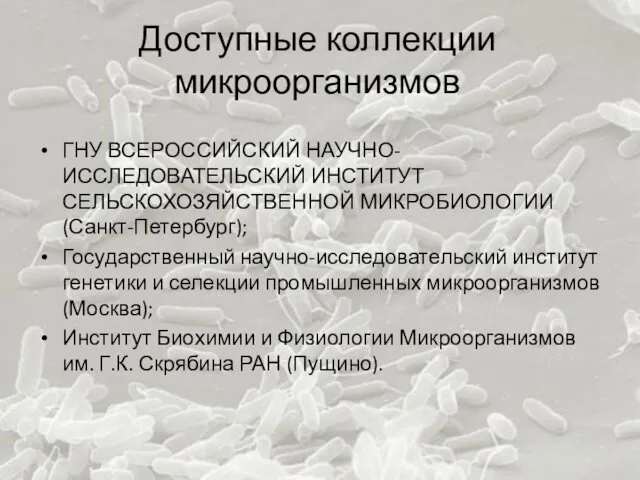 Доступные коллекции микроорганизмов ГНУ ВСЕРОССИЙСКИЙ НАУЧНО-ИССЛЕДОВАТЕЛЬСКИЙ ИНСТИТУТ СЕЛЬСКОХОЗЯЙСТВЕННОЙ МИКРОБИОЛОГИИ (Санкт-Петербург);