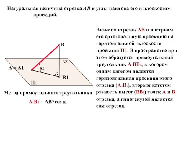 Возьмем отрезок АВ и построим его ортогональную проекцию на горизонтальной