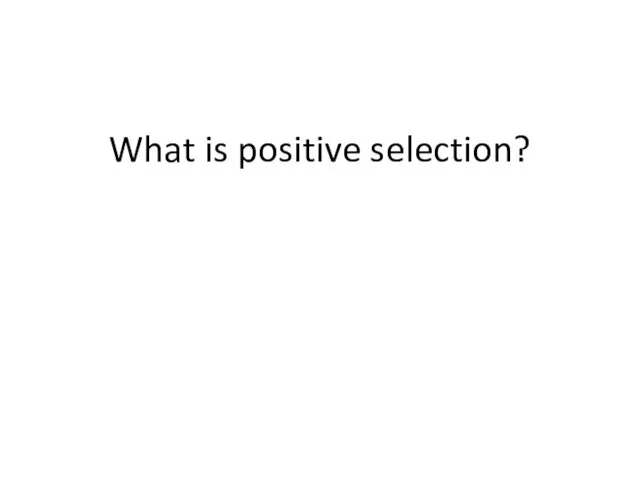 What is positive selection?