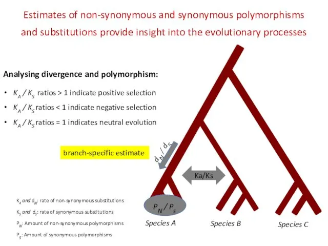 Species A Species B Species C PN / Ps Estimates