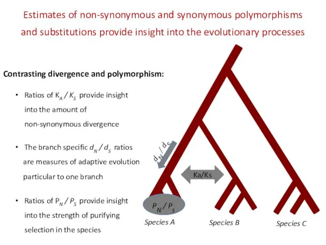 Species A Species B Species C PN / Ps Estimates