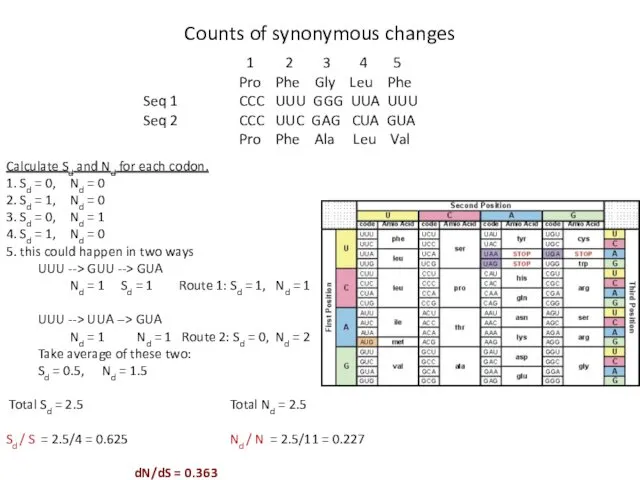 Calculate Sd and Nd for each codon. 1. Sd =