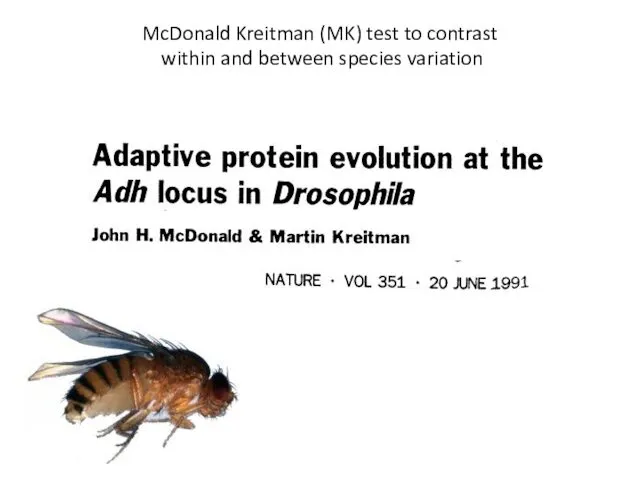 McDonald Kreitman (MK) test to contrast within and between species variation