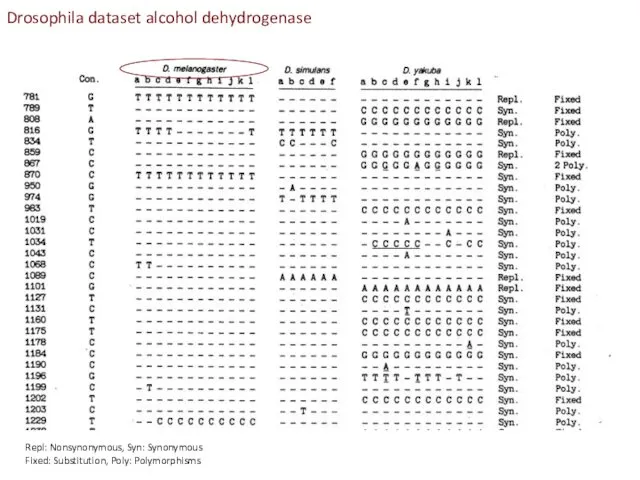 Repl: Nonsynonymous, Syn: Synonymous Fixed: Substitution, Poly: Polymorphisms Drosophila dataset alcohol dehydrogenase