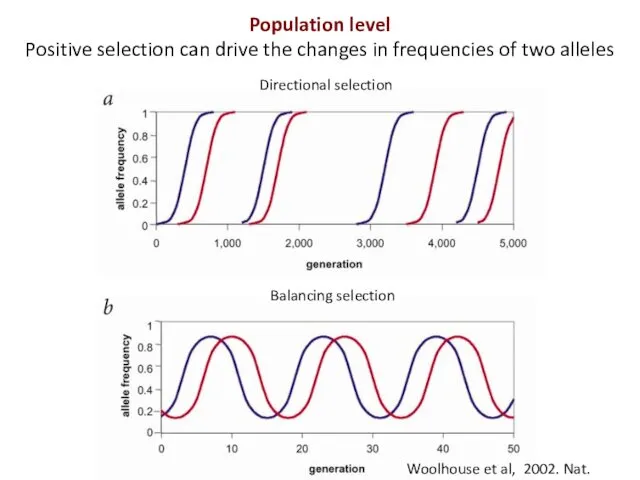 Woolhouse et al, 2002. Nat. Genet Directional selection Balancing selection