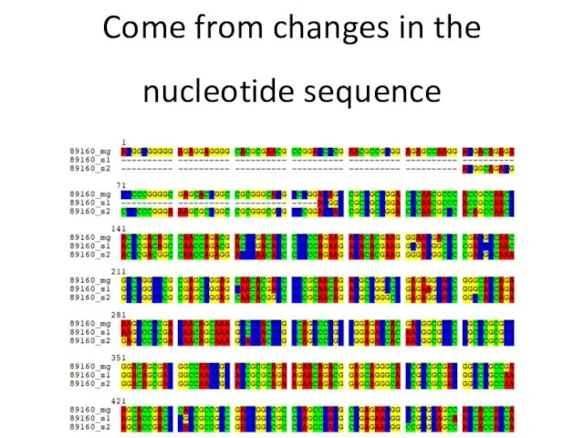 Come from changes in the nucleotide sequence