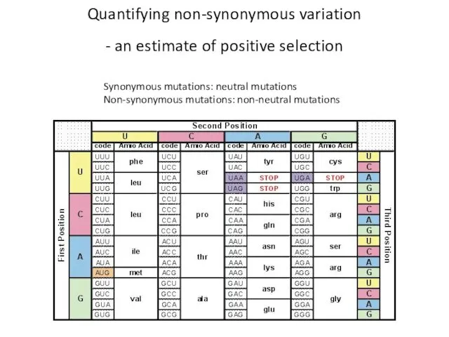 Quantifying non-synonymous variation - an estimate of positive selection Synonymous