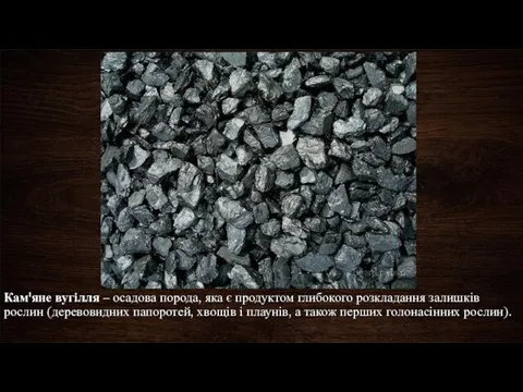 Кам'яне вугілля – осадова порода, яка є продуктом глибокого розкладання