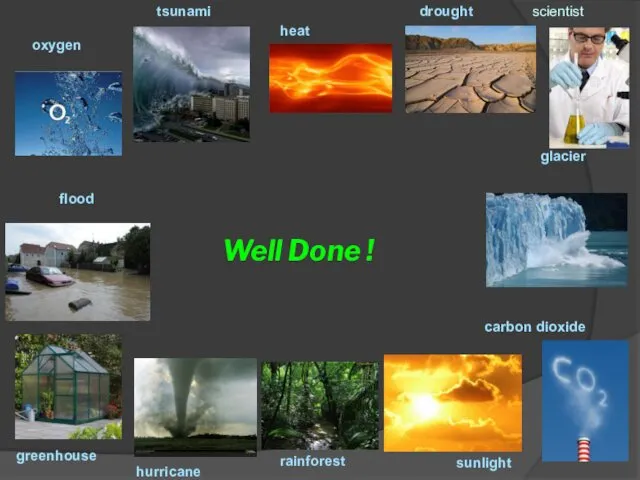 Well Done ! oxygen tsunami heat drought scientist hurricane greenhouse rainforest sunlight carbon dioxide flood glacier