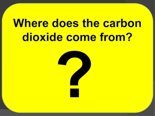 ? Where does the carbon dioxide come from?