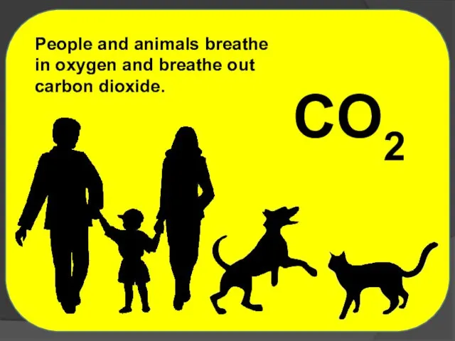 CO2 People and animals breathe in oxygen and breathe out carbon dioxide.