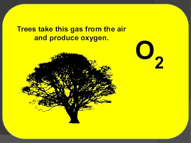 O2 Trees take this gas from the air and produce oxygen.