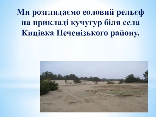Ми розглядаємо еоловий рельєф на прикладі кучугур біля села Кицівка Печенізького району.
