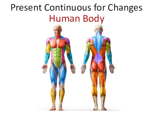 Present Continuous for Changes Human Body