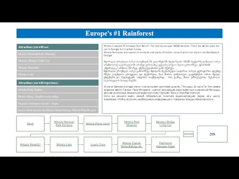 Europe's #1 Rainforest 20$ Mtirala is located 25 km away