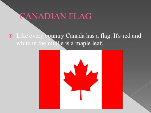 CANADIAN FLAG Like every country Canada has a flag. It's