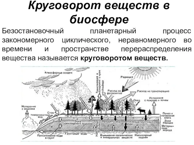 Круговорот веществ в биосфере Безостановочный планетарный процесс закономерного циклического, неравномерного