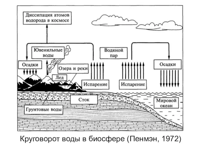 Круговорот воды в биосфере (Пенмэн, 1972)