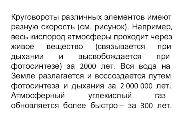 Круговороты различных элементов имеют разную скорость (см. рисунок). Например, весь