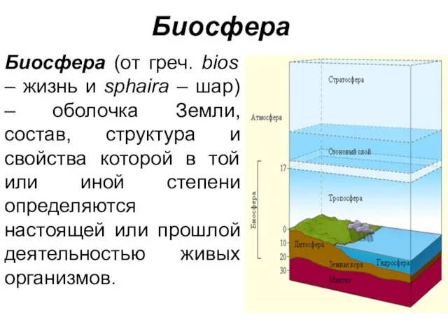 Биосфера Биосфера (от греч. bios – жизнь и sphaira –