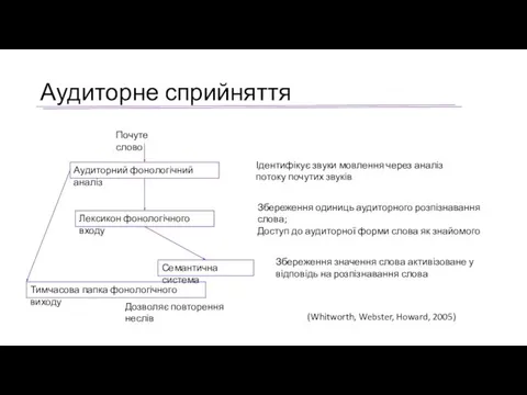 Аудиторне сприйняття Аудиторний фонологічний аналіз Лексикон фонологічного входу Семантична система