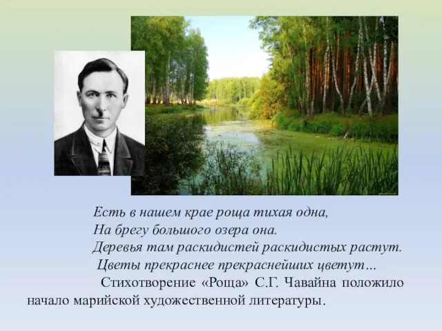 Есть в нашем крае роща тихая одна, На брегу большого