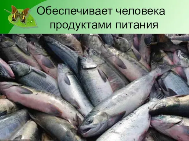 Обеспечивает человека продуктами питания