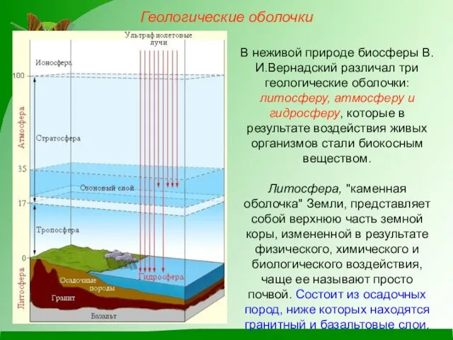 Геологические оболочки В неживой природе биосферы В.И.Вернадский различал три геологические