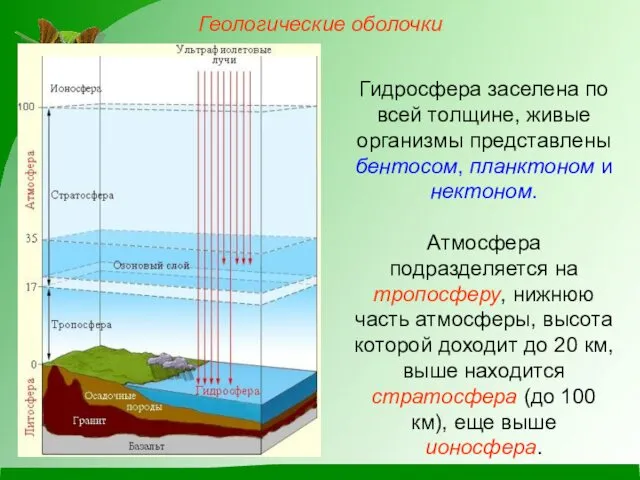 Гидросфера заселена по всей толщине, живые организмы представлены бентосом, планктоном