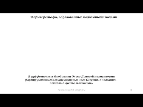 В суффозионных блюдцах на Окско-Донской низменности формируются небольшие осиновые леса