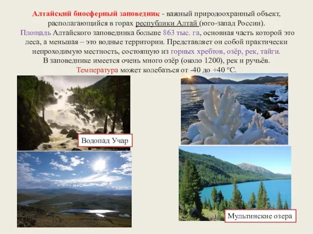 Алтайский биосферный заповедник - важный природоохранный объект, располагающийся в горах республики Алтай (юго-запад