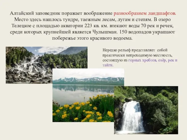 Алтайский заповедник поражает воображение разнообразием ландшафтов. Место здесь нашлось тундре, таежным лесам, лугам