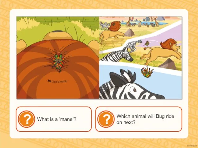 What is a ‘mane’? Which animal will Bug ride on next?