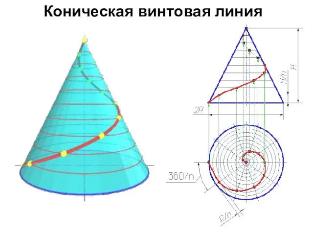 Коническая винтовая линия