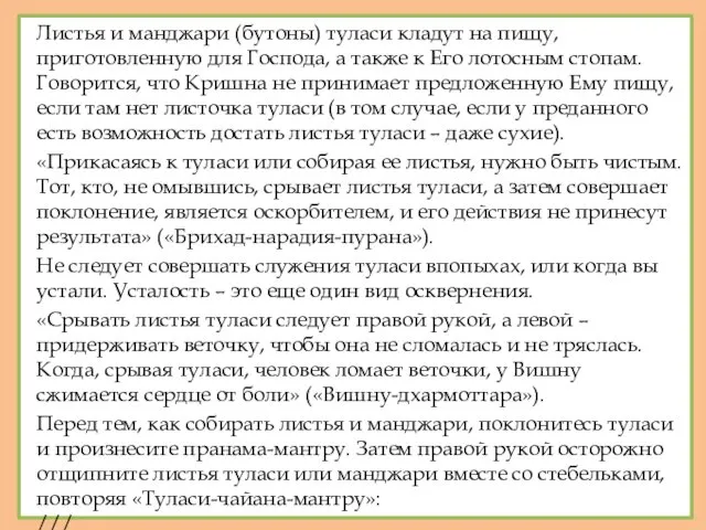 Листья и манджари (бутоны) туласи кладут на пищу, приготовленную для