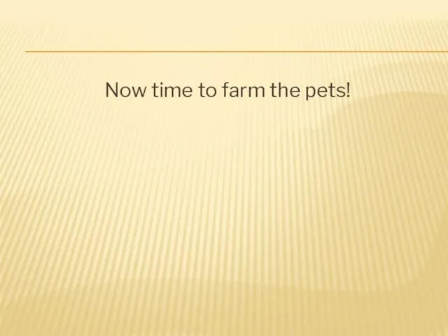 Now time to farm the pets!
