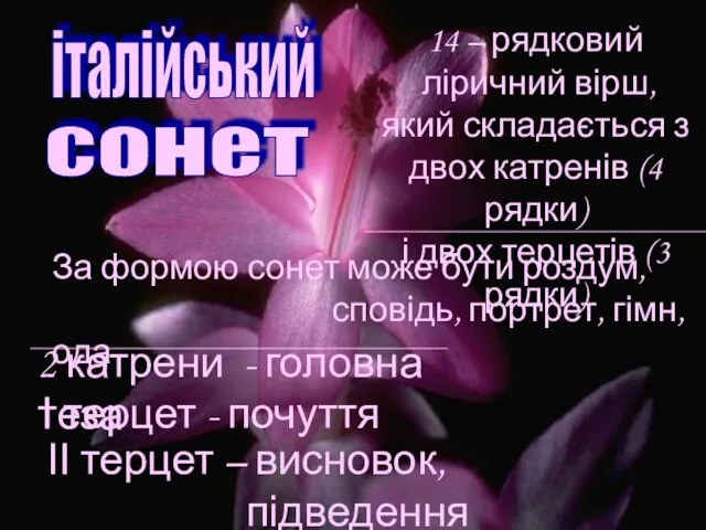 14 – рядковий ліричний вірш, який складається з двох катренів