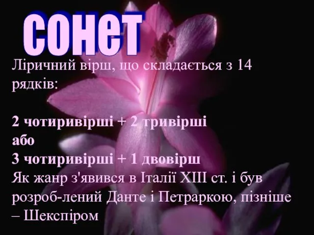 Ліричний вірш, що складається з 14 рядків: 2 чотиривірші +