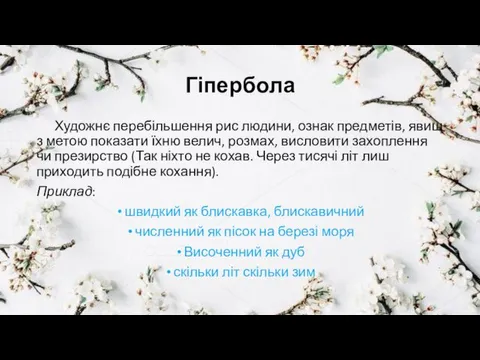 Гіпербола Художнє перебільшення рис людини, ознак предметів, явищ з метою