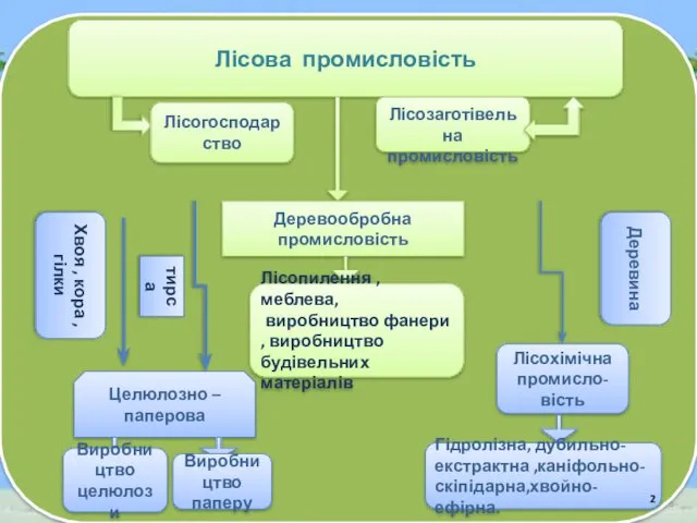 Лісова промисловість Лісогосподарство Лісозаготівельна промисловість Деревообробна промисловість Целюлозно –паперова Хвоя