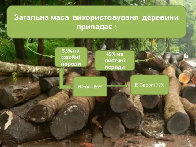 Загальна маса використовуваня деревини припадає : 55% на хвойні породи