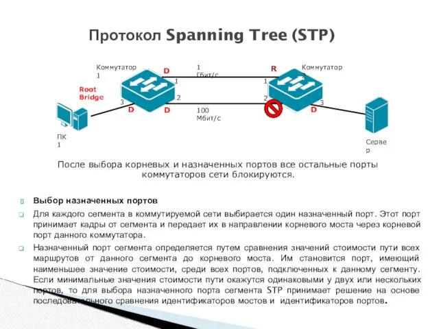 Выбор назначенных портов Для каждого сегмента в коммутируемой сети выбирается