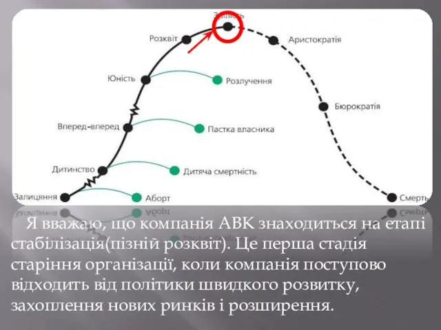 Я вважаю, що компанія АВК знаходиться на етапі стабілізація(пізній розквіт).