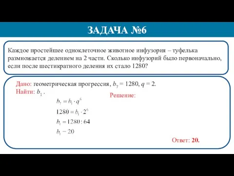 Каждое простейшее одноклеточное животное инфузория – туфелька размножается делением на