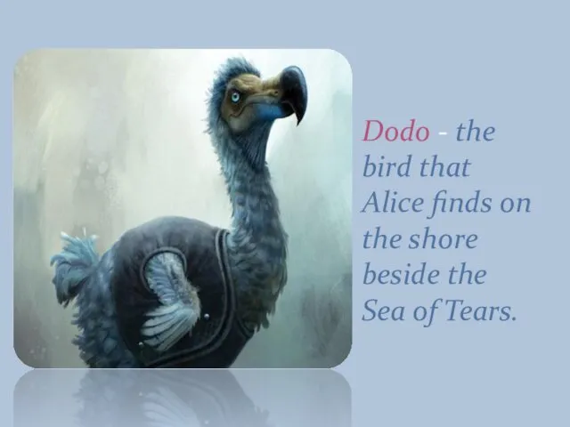 Dodo - the bird that Alice finds on the shore beside the Sea of Tears.