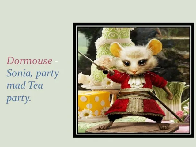 Dormouse - Sonia, party mad Tea party.